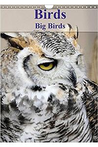 Birds Big Birds 2017