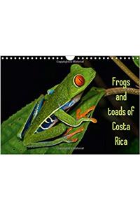 Frogs and Toads of Costa Rica / UK-Version 2017