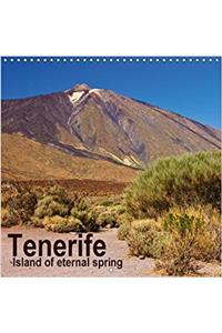 Tenerife - Island of Eternal Spring 2017