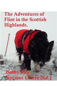 The Adventures of Flint in the Scottish Highlands.