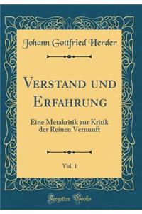 Verstand Und Erfahrung, Vol. 1: Eine Metakritik Zur Kritik Der Reinen Vernunft (Classic Reprint)