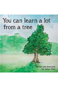 You Can Learn a Lot From a Tree