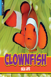 Clownfish