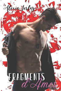 Fragments d'Ames