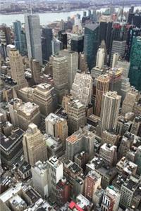 Aerial View of New York City Journal