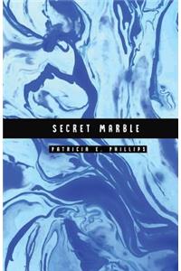 Secret Marble: Light Blue Marble Password Notebook Help You Conceal and Protect Your Password Information