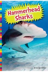 Hammerhead Sharks