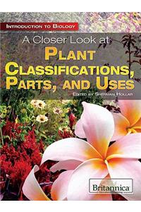 A Closer Look at Plant Classifications, Parts, and Uses