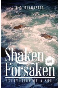 Shaken Not Forsaken: Excavation of a Soul