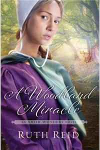 A Woodland Miracle: An Amish Wonders Novel