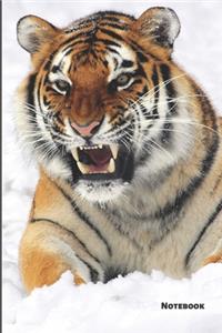Tiger Notebook