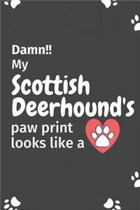 Damn!! my Scottish Deerhound's paw print looks like a