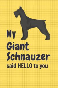 My Giant Schnauzer said HELLO to you