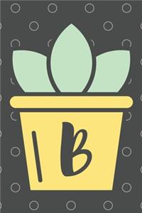 B