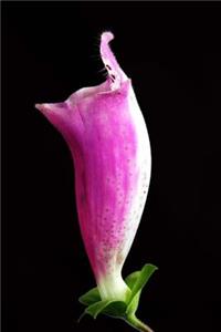 Beautiful Single Lavender Foxglove Bloom Journal