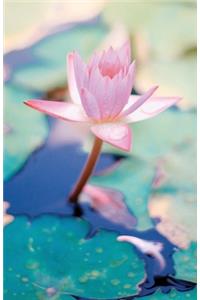 Pink Lotus Flower Dot Grid Journal 5.5 x 8.5 176 Pages Matte Cover