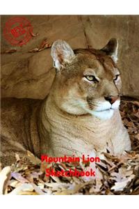 Mountain Lion Sketchbook
