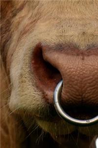 Bull Nose Ring Journal