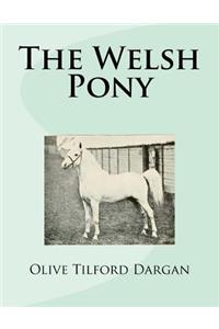 Welsh Pony
