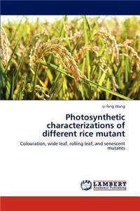 Photosynthetic characterizations of different rice mutant