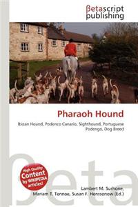 Pharaoh Hound