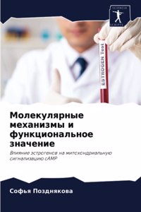 Молекулярные механизмы и функциональное