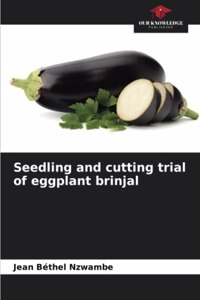 Seedling and cutting trial of eggplant brinjal