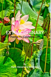 Extraordinary