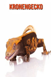 Kronengecko