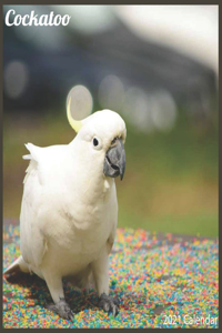 Cockatoo 2021 Calendar