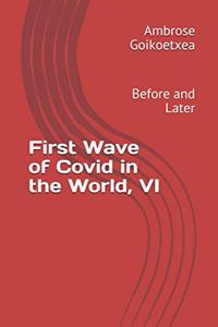 First Wave of Covid in the World, VI