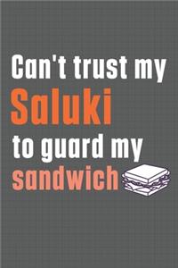 Can't trust my Saluki to guard my sandwich