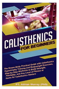 Calisthenics for Beginners