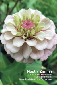 Mostly Zinnias