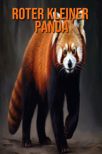 Roter kleiner Panda