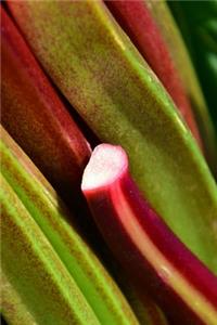 Freshly Harvested Rhubarb Journal