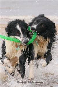 Chiens Border Collie Carnet de notes