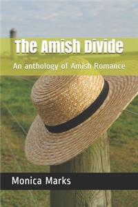 The Amish Divide