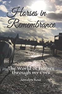 Horses in Remembrance: The World of Horses through my Eyes