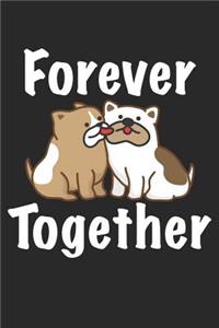 Trainingsbuch Hundeerziehung