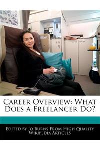 Career Overview