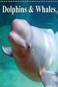 Dolphins & Whales 2016