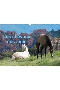 Les Chevaux Nos Amis 2018