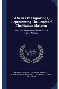 A Series Of Engravings, Representing The Bones Of The Human Skeleton