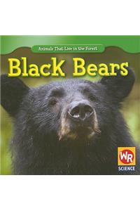 Black Bears