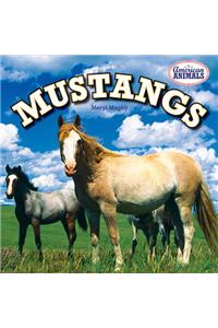 Mustangs