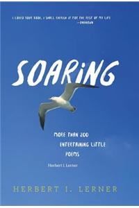 Soaring