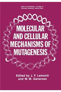 Molecular and Cellular Mechanisms of Mutagenesis