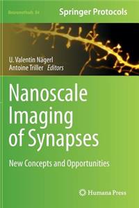 Nanoscale Imaging of Synapses