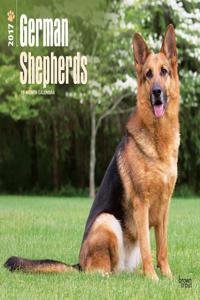 German Shepherds 2017 Square
